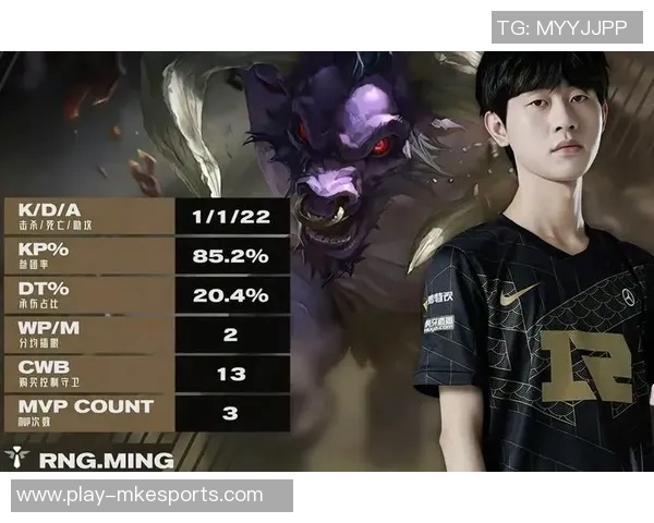 RNG在电竞比分职业联赛中的团队协作表现分析与点评