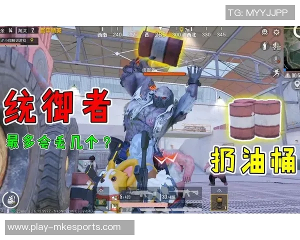 揭秘和平精英成功背后的故事与黄丽的独特见解